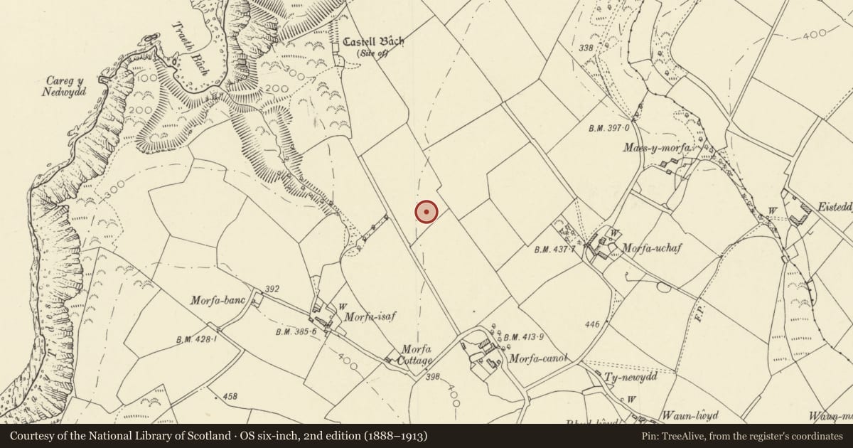 Ordnance Survey six-inch map, 2nd edition (1888–1913) covering the location of Garreg Standing Stones, Penbryn, Ceredigion, with a pin at the register's coordinates