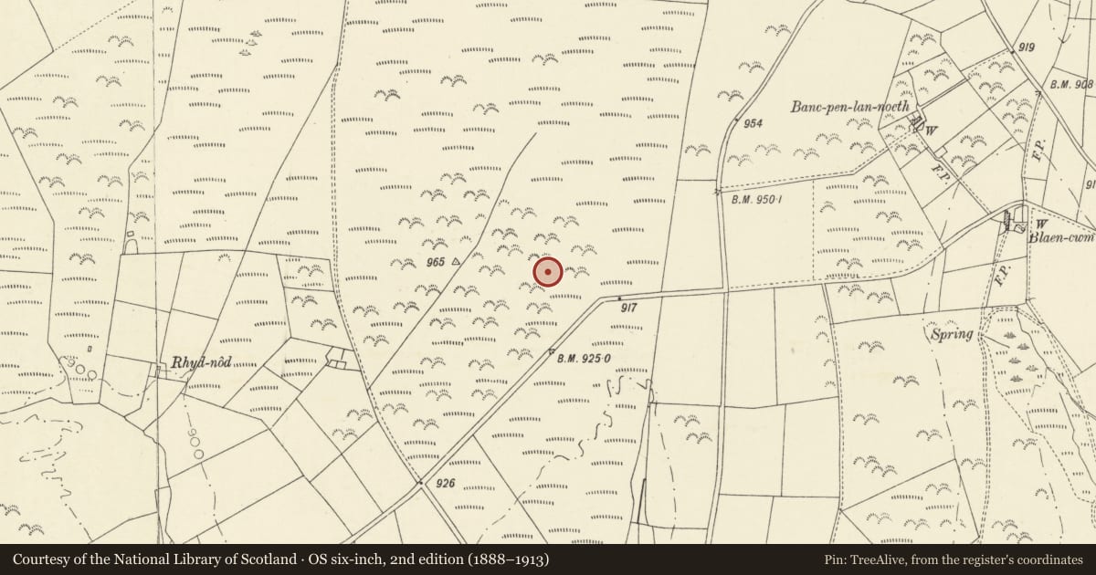 Ordnance Survey six-inch map, 2nd edition (1888–1913) covering the location of Round Barrow, Llanarth, Ceredigion, with a pin at the register's coordinates