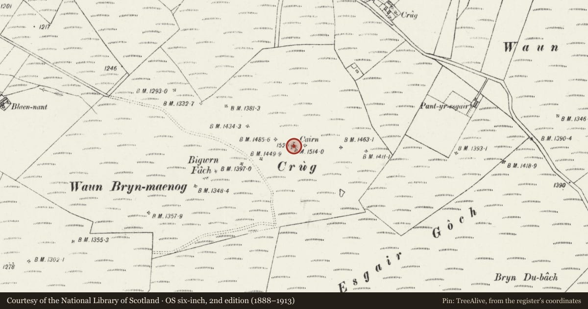 Ordnance Survey six-inch map, 2nd edition (1888–1913) covering the location of Crug Round Cairn, Llanddewi Brefi, Ceredigion, with a pin at the register's coordinates