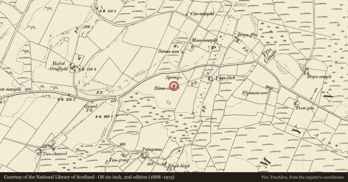 Ordnance Survey six-inch map, 2nd edition (1888–1913) covering the location of Standing Stone, Llangwyryfon, Ceredigion, with a pin at the register's coordinates