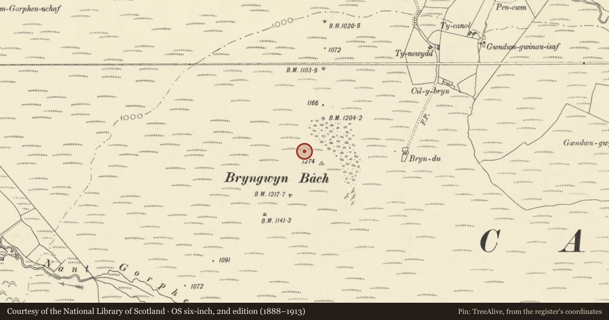 Ordnance Survey six-inch map, 2nd edition (1888–1913) covering the location of Bryngwyn Bach Round Cairn Cemetery, Ystrad Fflur, Ceredigion, with a pin at the register's coordinates