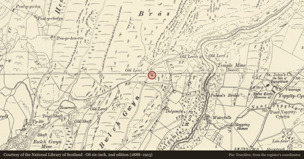 Ordnance Survey six-inch map, 2nd edition (1888–1913) covering the location of Cairn Circle 200m NNW of Dolgamfa, Blaenrheidol, Ceredigion, with a pin at the register's coordinates