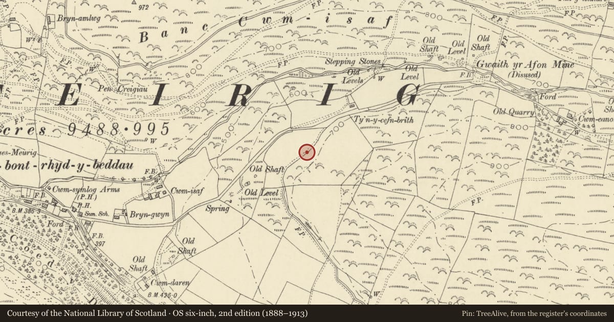 Ordnance Survey six-inch map, 2nd edition (1888–1913) covering the location of Standing Stones c.600m NE of Cwmdarren, Trefeurig, Ceredigion, with a pin at the register's coordinates