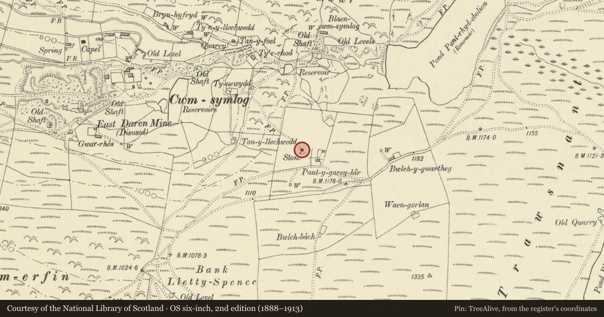 Ordnance Survey six-inch map, 2nd edition (1888–1913) covering the location of Standing Stone c. 500m SW of Llyn Pendam, Trefeurig, Ceredigion, with a pin at the register's coordinates