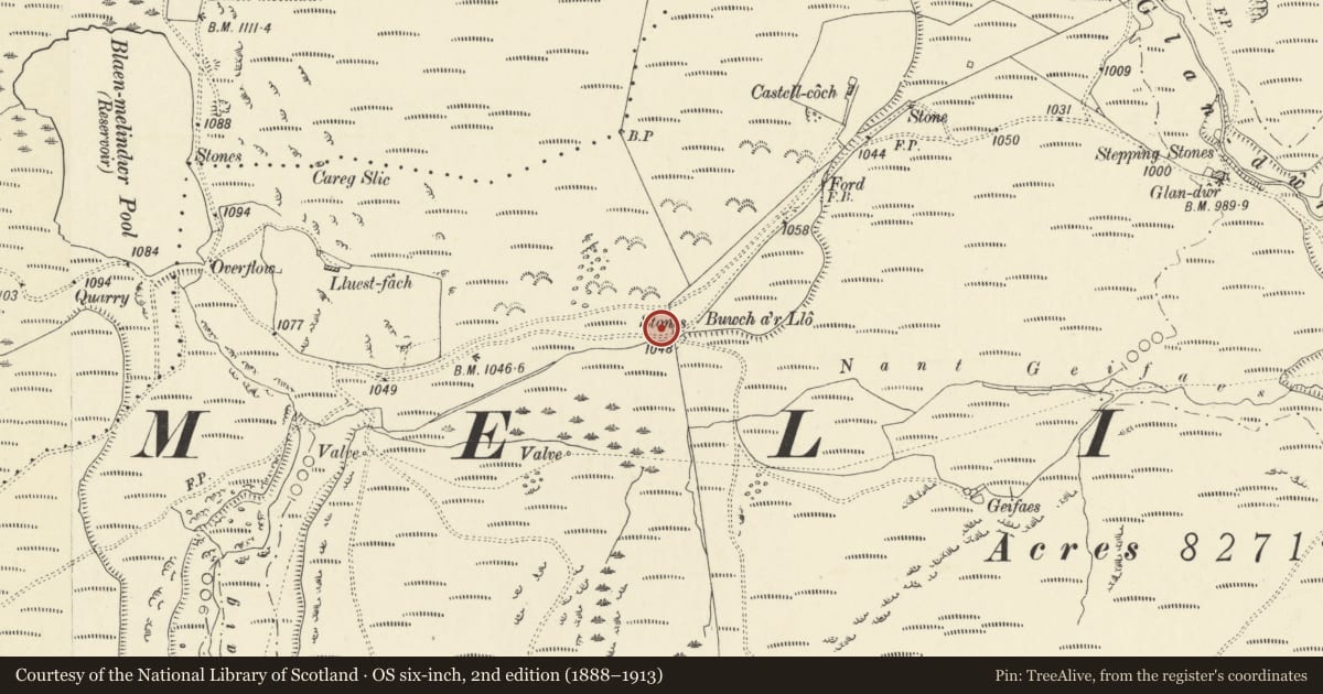 Ordnance Survey six-inch map, 2nd edition (1888–1913) covering the location of Buwch a'r Llo Standing Stones, Melindwr, Ceredigion, with a pin at the register's coordinates