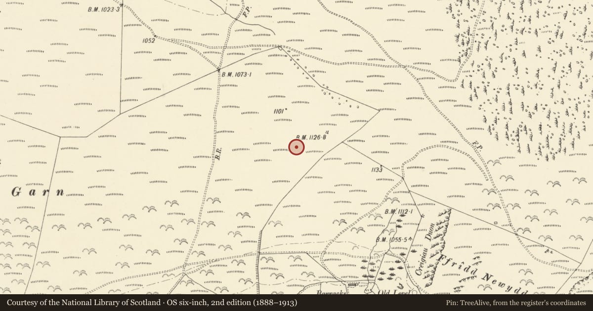 Ordnance Survey six-inch map, 2nd edition (1888–1913) covering the location of Stone Circle, Ceulanamaesmawr, Ceredigion, with a pin at the register's coordinates
