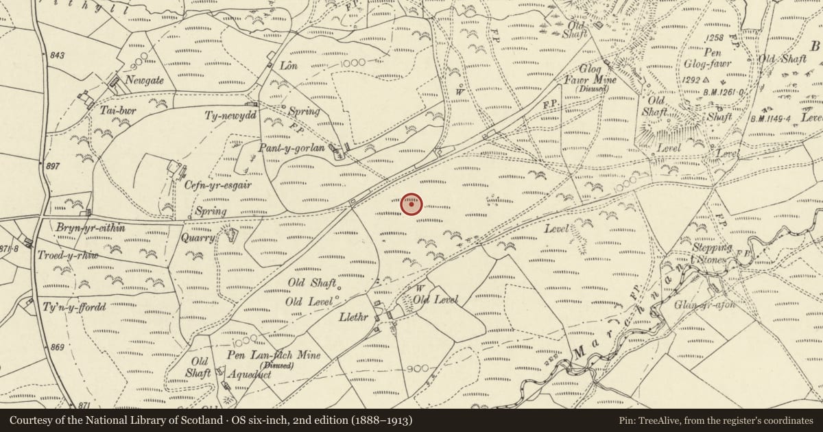 Ordnance Survey six-inch map, 2nd edition (1888–1913) covering the location of Standing Stone c.250m NNE of Llethr, Ysbyty Ystwyth, Ceredigion, with a pin at the register's coordinates