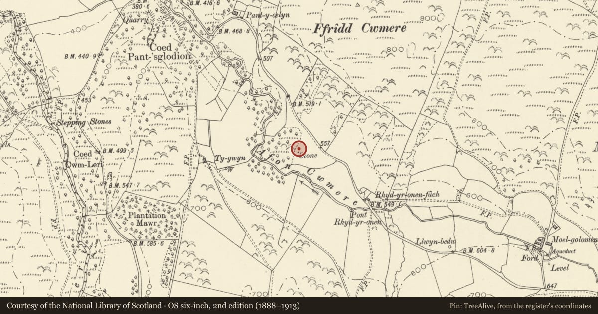 Ordnance Survey six-inch map, 2nd edition (1888–1913) covering the location of Standing Stone c.280m E of Tygwyn, Ceulanamaesmawr, Ceredigion, with a pin at the register's coordinates