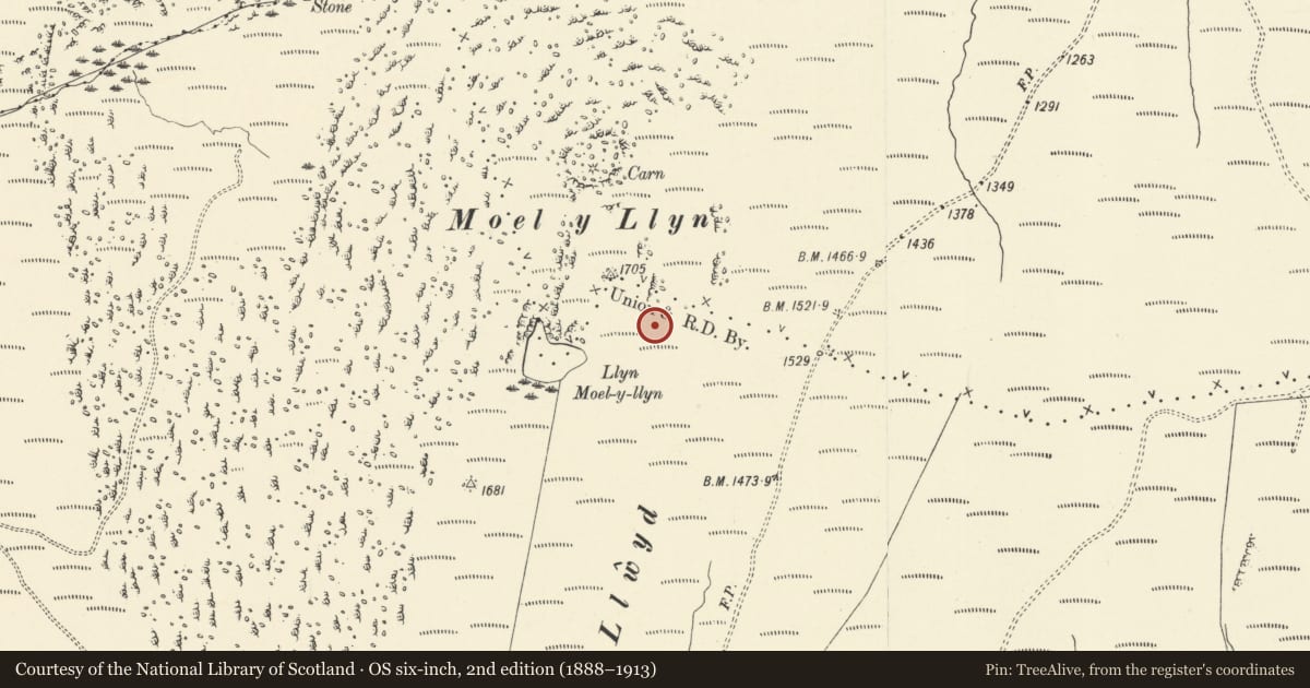 Ordnance Survey six-inch map, 2nd edition (1888–1913) covering the location of Moel y Llyn Cairn Cemetery, Ysgubor-y-Coed, Ceredigion, with a pin at the register's coordinates
