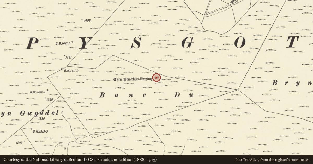 Ordnance Survey six-inch map, 2nd edition (1888–1913) covering the location of Penrhiwllwydog Round Cairn, Llanddewi Brefi, Ceredigion, with a pin at the register's coordinates