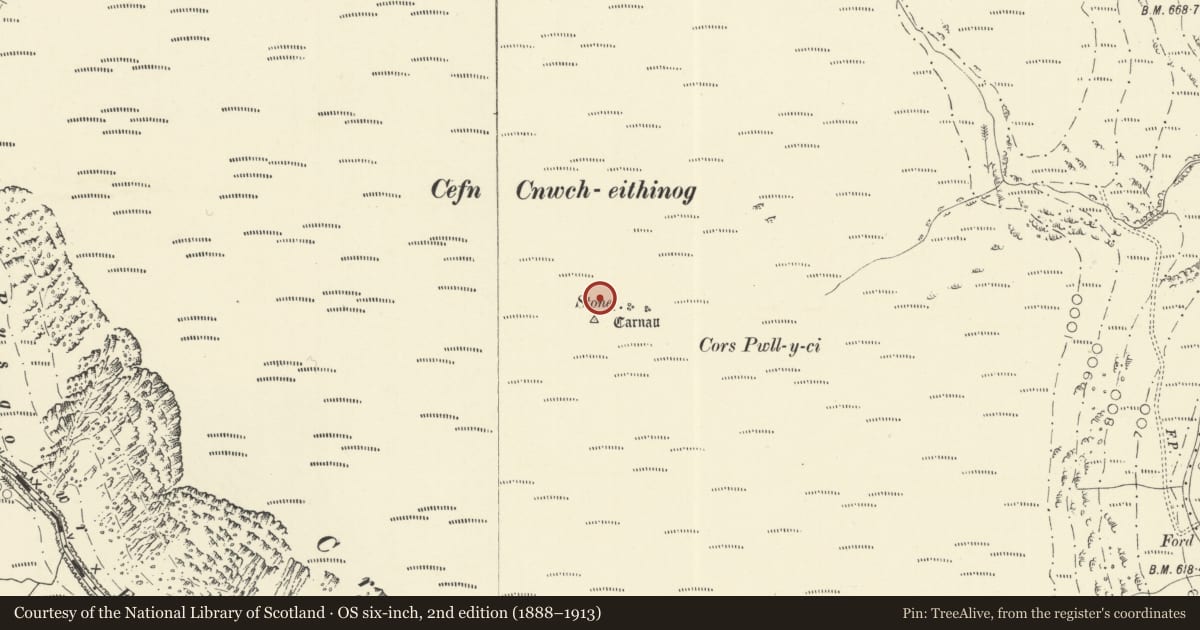 Ordnance Survey six-inch map, 2nd edition (1888–1913) covering the location of Cefn Cnwcheithinog Standing Stone, Llanddewi Brefi, Ceredigion, with a pin at the register's coordinates