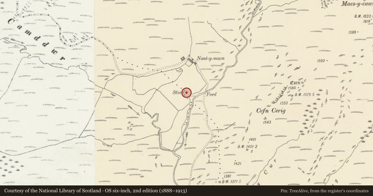 Ordnance Survey six-inch map, 2nd edition (1888–1913) covering the location of Nantymaen Standing Stone, Tregaron, Ceredigion, with a pin at the register's coordinates