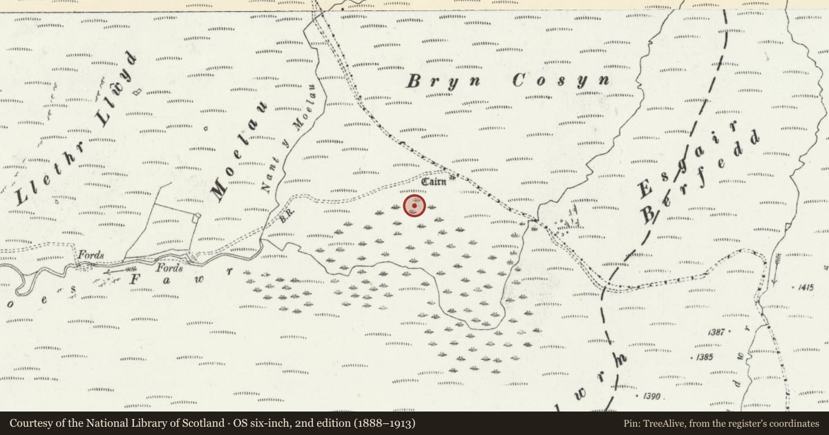 Ordnance Survey six-inch map, 2nd edition (1888–1913) covering the location of Bryn Cosyn Cairn Cemetery, Tregaron, Ceredigion, with a pin at the register's coordinates
