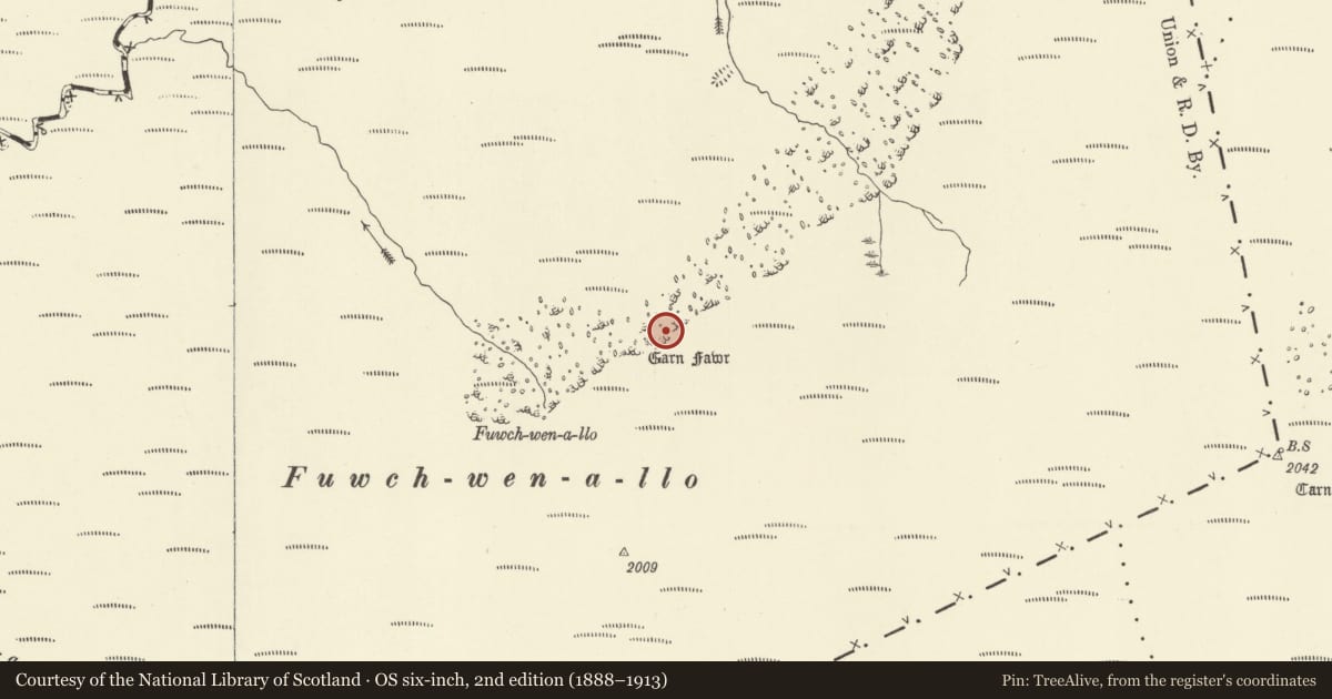 Ordnance Survey six-inch map, 2nd edition (1888–1913) covering the location of Carn Fawr Round Cairns, Blaenrheidol, Ceredigion, with a pin at the register's coordinates