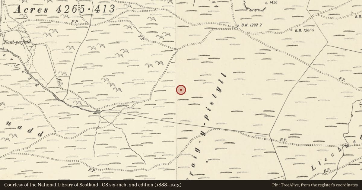 Ordnance Survey six-inch map, 2nd edition (1888–1913) covering the location of Pencraig y Pistill Round Cairn, Ceulanamaesmawr, Ceredigion, with a pin at the register's coordinates
