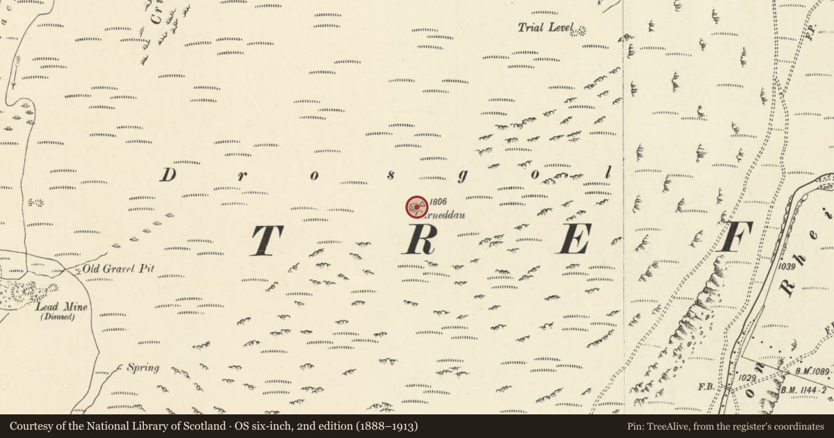 Ordnance Survey six-inch map, 2nd edition (1888–1913) covering the location of Carneddau Round Cairns, Drosgol, Blaenrheidol, Ceredigion, with a pin at the register's coordinates