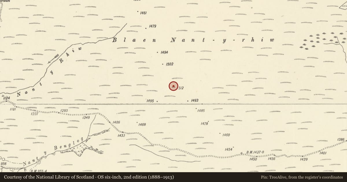 Ordnance Survey six-inch map, 2nd edition (1888–1913) covering the location of Blaen Nant-y-Rhiw Round Cairn, Llanddewi Brefi, Ceredigion, with a pin at the register's coordinates