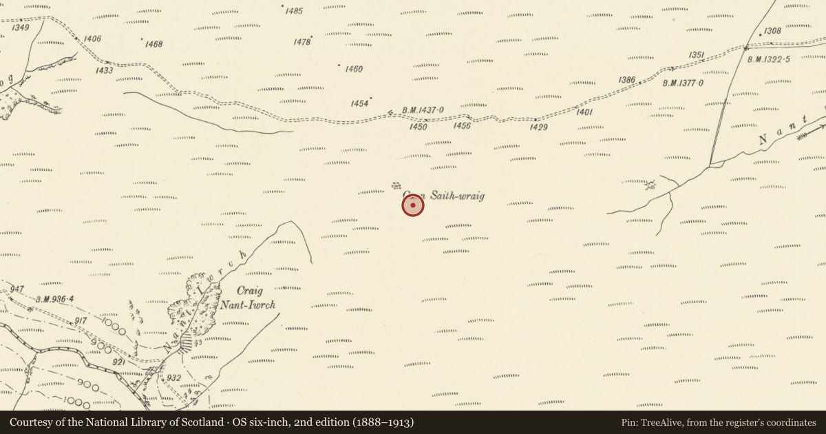Ordnance Survey six-inch map, 2nd edition (1888–1913) covering the location of Carn Saith-Wraig Round Cairns, Llanddewi Brefi, Ceredigion, with a pin at the register's coordinates