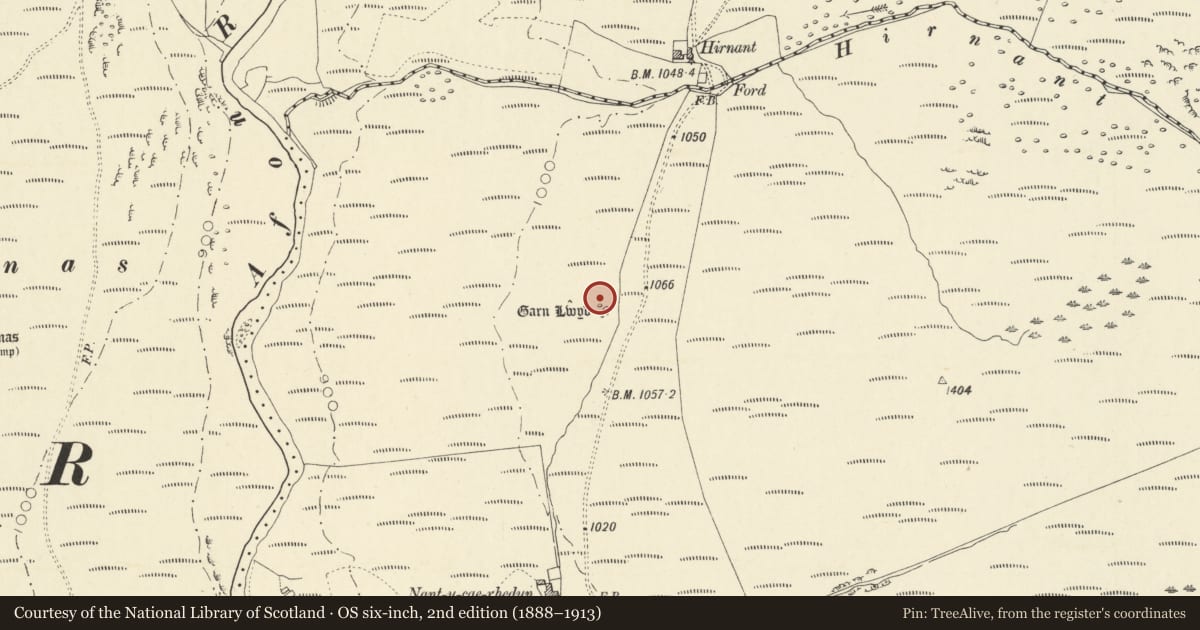 Ordnance Survey six-inch map, 2nd edition (1888–1913) covering the location of Garn Lwyd Round Cairn & Standing Stone, Blaenrheidol, Ceredigion, with a pin at the register's coordinates