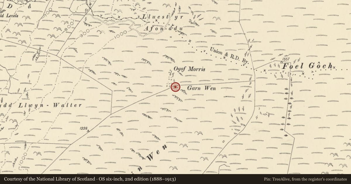 Ordnance Survey six-inch map, 2nd edition (1888–1913) covering the location of Carn Wen Round Cairn, Llangynfelyn, Ceredigion, with a pin at the register's coordinates