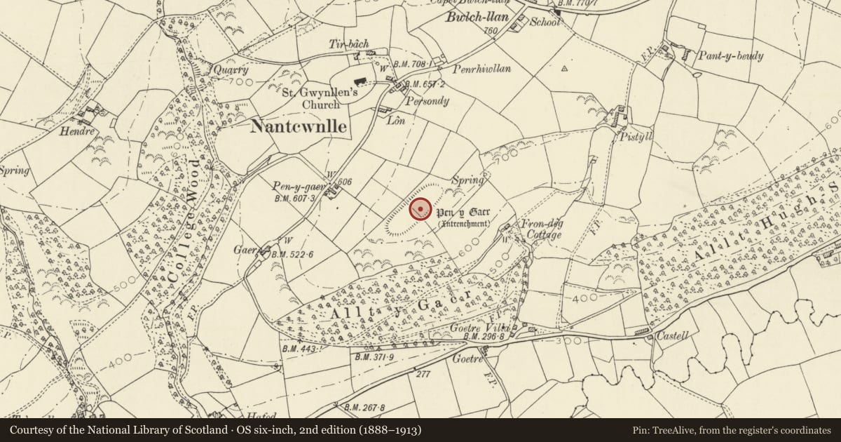 Ordnance Survey six-inch map, 2nd edition (1888–1913) covering the location of Pen-y-Gaer Defended Enclosure, Nantcwnlle, Ceredigion, with a pin at the register's coordinates