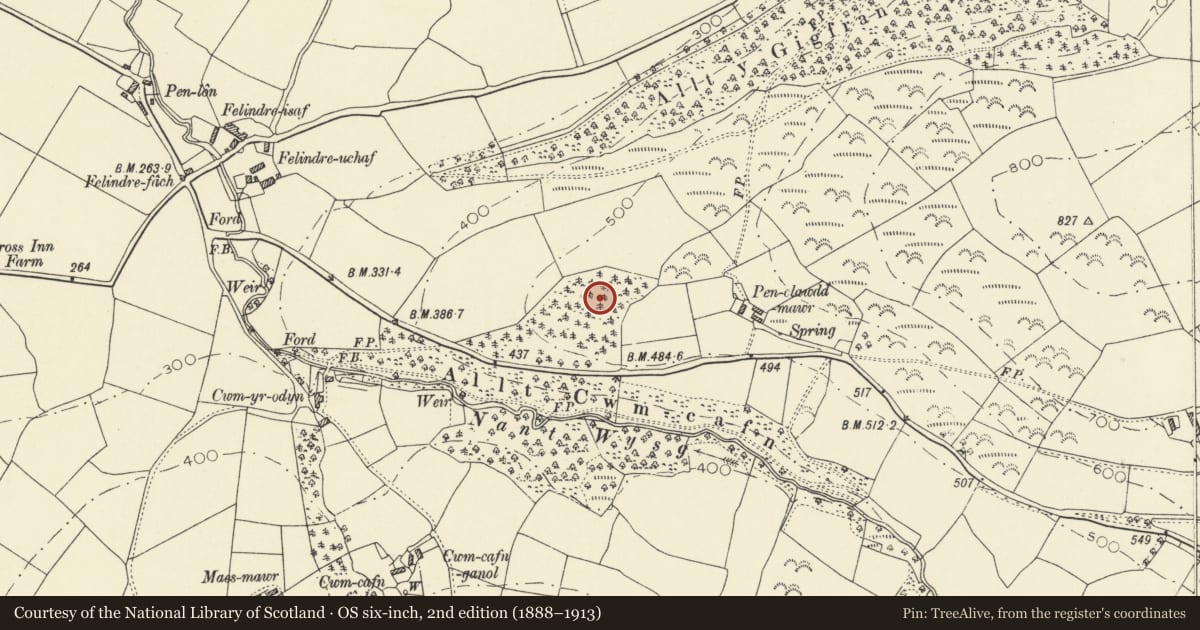 Ordnance Survey six-inch map, 2nd edition (1888–1913) covering the location of Pen Clawdd-Mawr Defended Enclosure, Llanfihangel Ystrad, Ceredigion, with a pin at the register's coordinates
