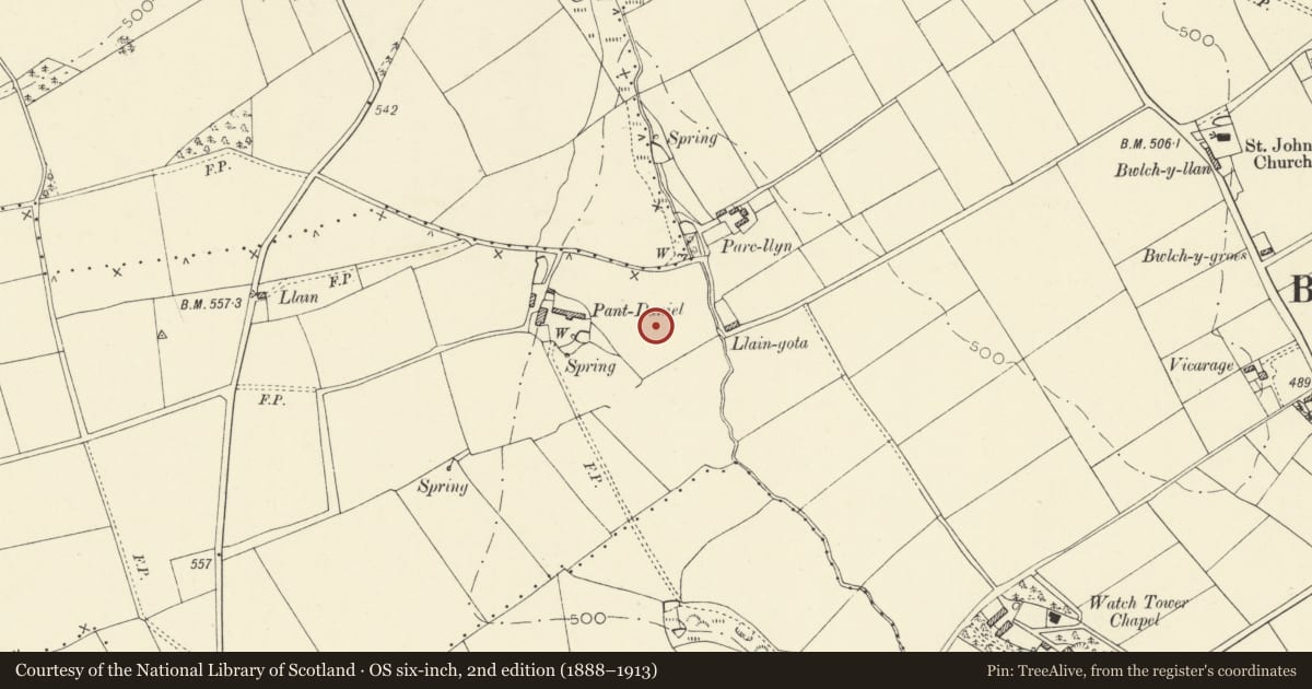 Ordnance Survey six-inch map, 2nd edition (1888–1913) covering the location of Pantdaniel Defended Enclosure, Beulah, Ceredigion, with a pin at the register's coordinates