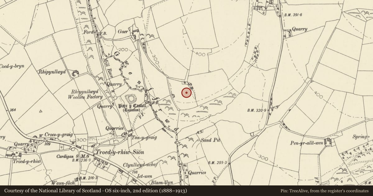 Ordnance Survey six-inch map, 2nd edition (1888–1913) covering the location of Troed y Rhiw Sion Defended Enclosure, Beulah, Ceredigion, with a pin at the register's coordinates