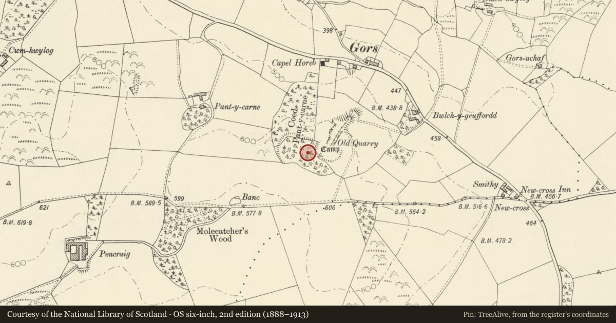 Ordnance Survey six-inch map, 2nd edition (1888–1913) covering the location of Gors Defended Enclosure, Trawsgoed, Ceredigion, with a pin at the register's coordinates