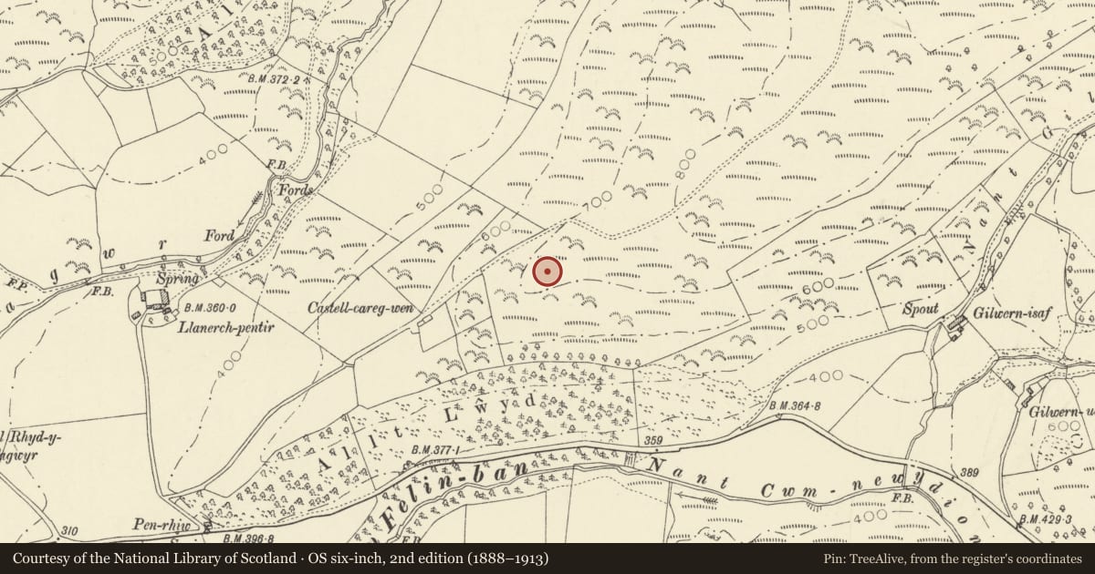 Ordnance Survey six-inch map, 2nd edition (1888–1913) covering the location of Llannerch Pentir Defended Enclosure, Trawsgoed, Ceredigion, with a pin at the register's coordinates
