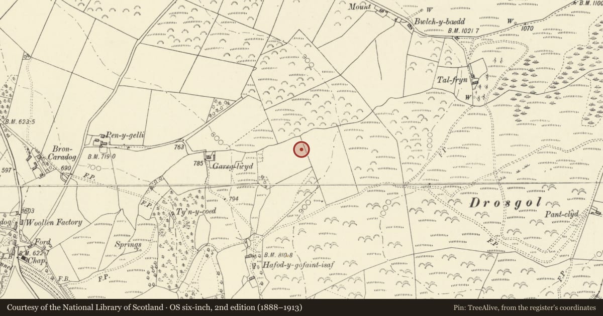Ordnance Survey six-inch map, 2nd edition (1888–1913) covering the location of Gareg-lwyd Defended Enclosure, Ystrad Meurig, Ceredigion, with a pin at the register's coordinates