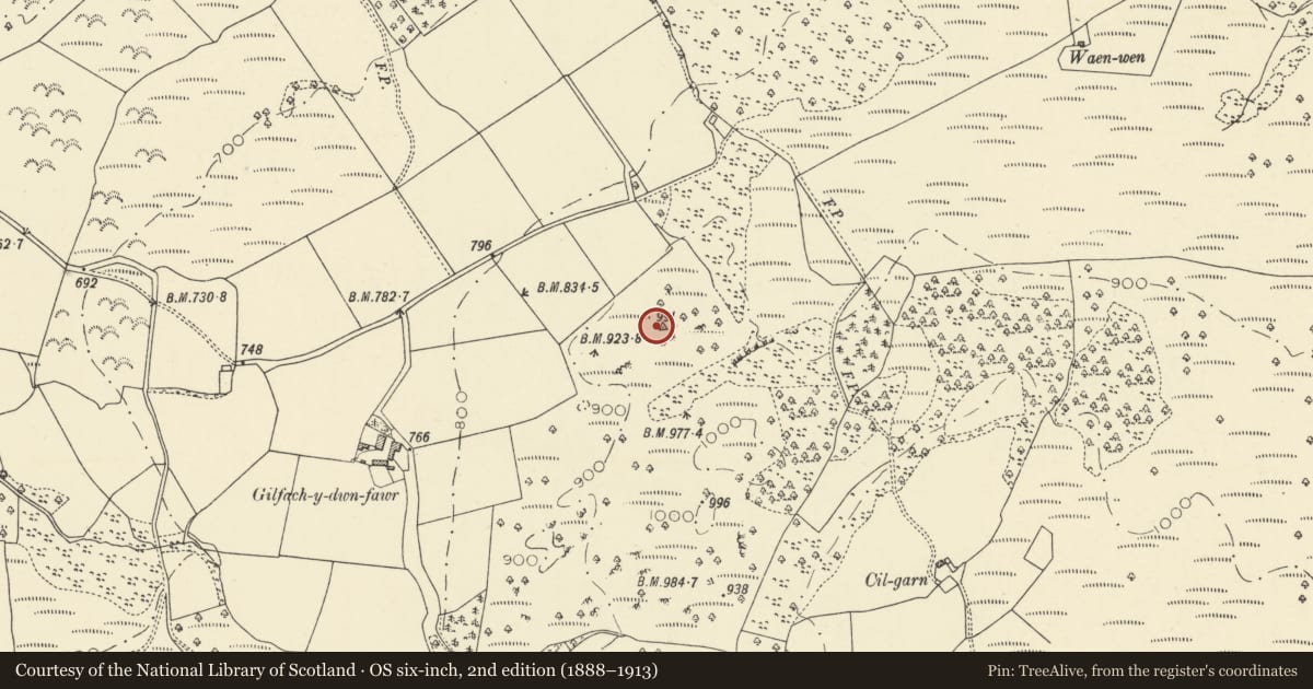 Ordnance Survey six-inch map, 2nd edition (1888–1913) covering the location of Gilfach y Dwn Fawr Defended Enclosure, Ystrad Fflur, Ceredigion, with a pin at the register's coordinates