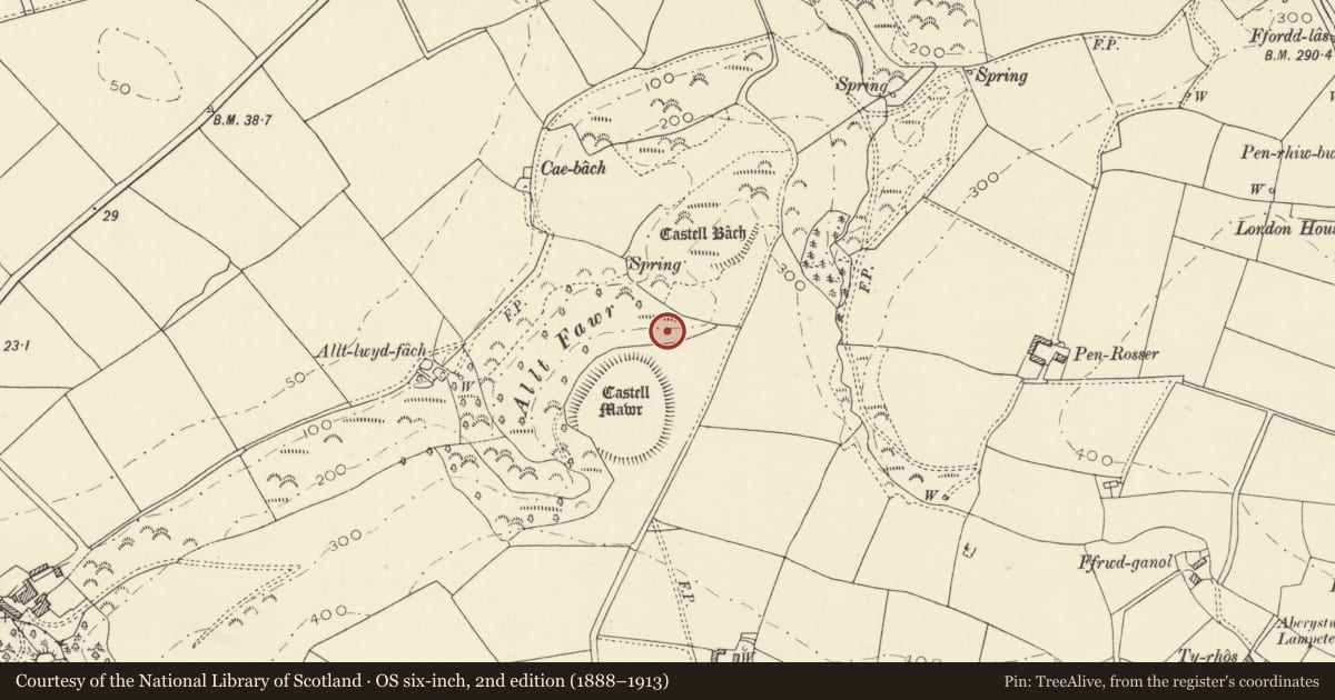 Ordnance Survey six-inch map, 2nd edition (1888–1913) covering the location of Defended Enclosure 500m N of Pen y Castell, Llanrhystyd, Ceredigion, with a pin at the register's coordinates
