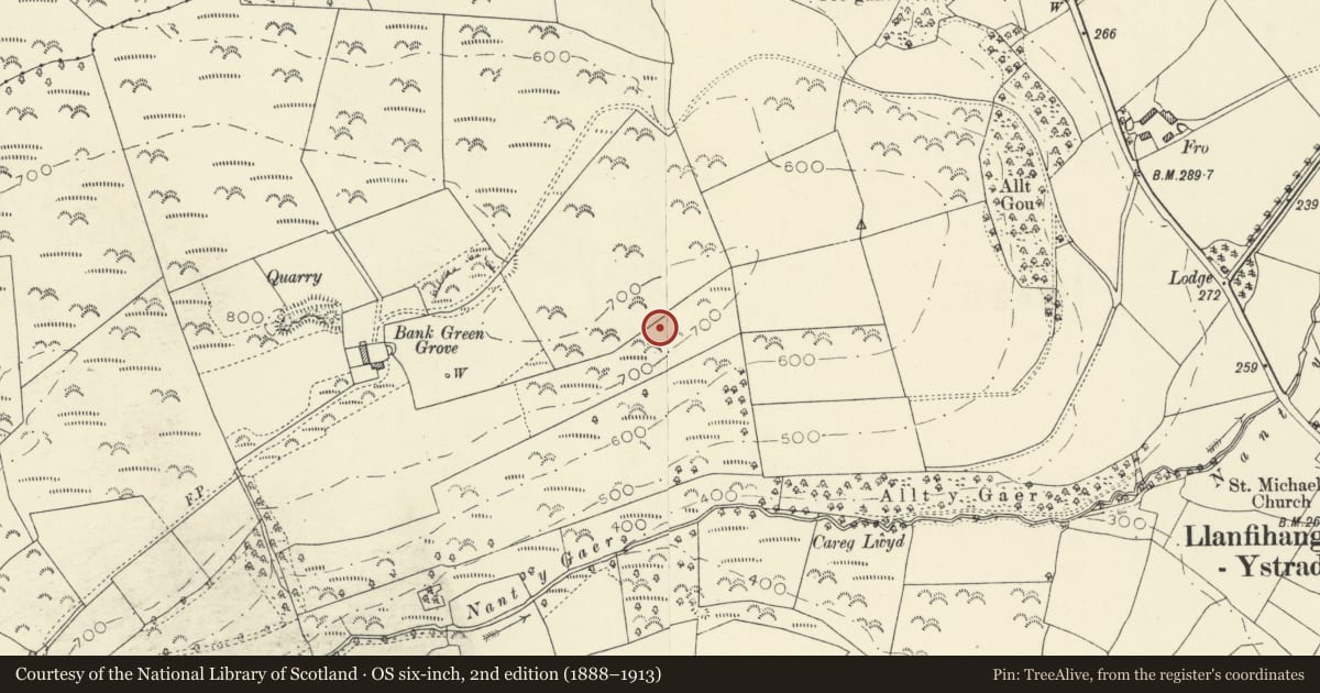 Ordnance Survey six-inch map, 2nd edition (1888–1913) covering the location of Defended Enclosure 350m E of Bank Green Grove, Llanfihangel Ystrad, Ceredigion, with a pin at the register's coordinates