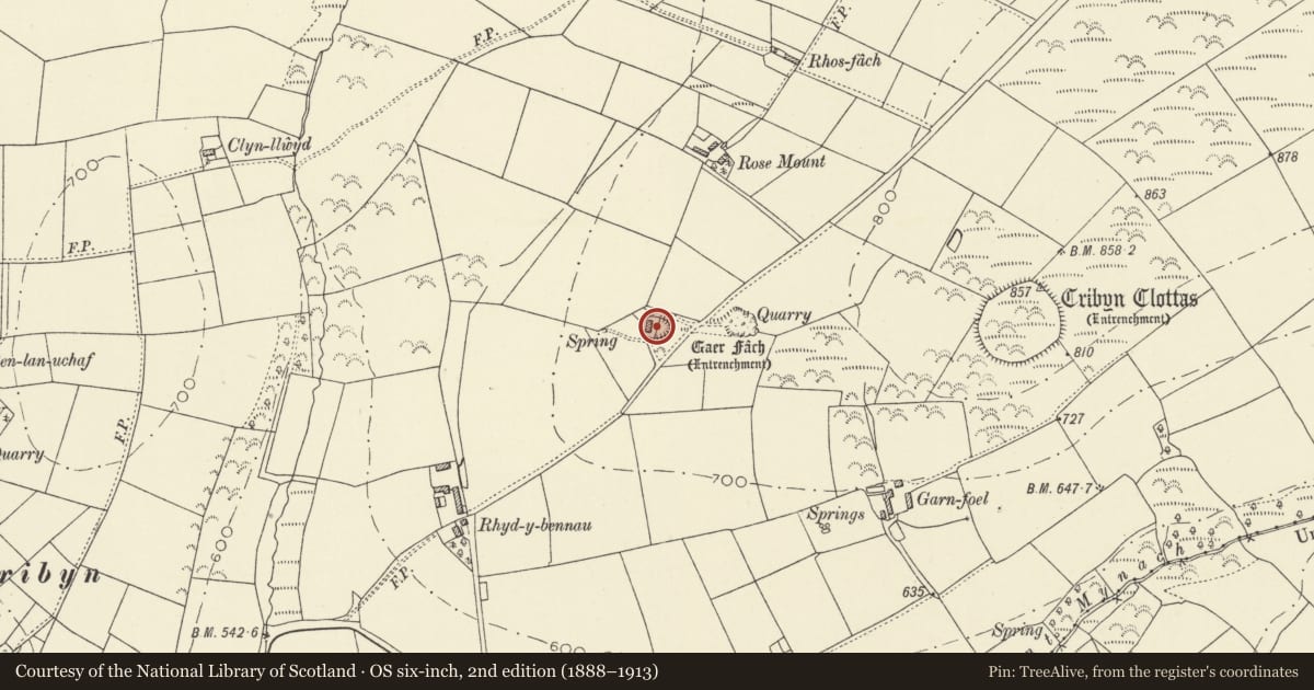 Ordnance Survey six-inch map, 2nd edition (1888–1913) covering the location of Gaer Fach Defended Enclosure, Llanfihangel Ystrad, Ceredigion, with a pin at the register's coordinates