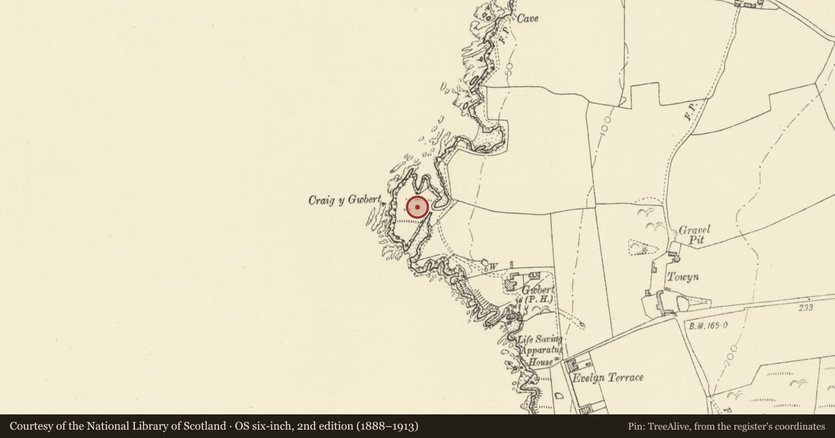 Ordnance Survey six-inch map, 2nd edition (1888–1913) covering the location of Craig y Gwbert Defended Enclosure, Y Ferwig, Ceredigion, with a pin at the register's coordinates