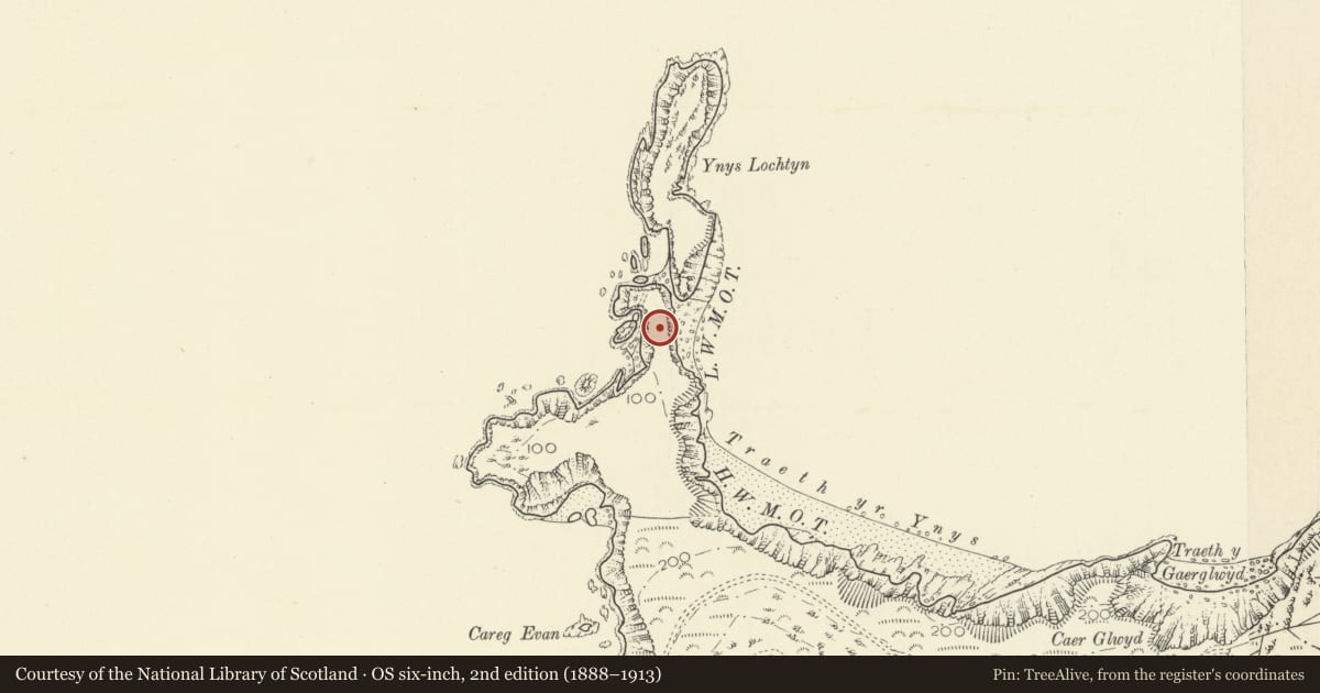Ordnance Survey six-inch map, 2nd edition (1888–1913) covering the location of Ynys Lochtyn Defended Enclosure, Llangrannog, Ceredigion, with a pin at the register's coordinates