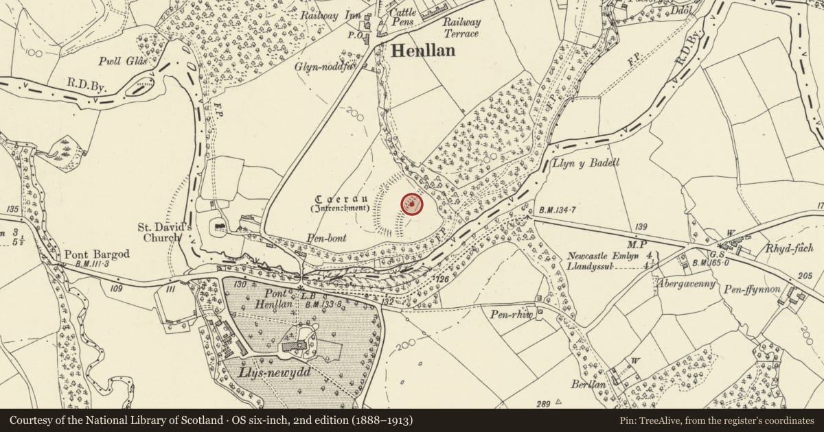 Ordnance Survey six-inch map, 2nd edition (1888–1913) covering the location of Defended Enclosure 250m NE of Pont Henllan, Llandyfriog, Ceredigion, with a pin at the register's coordinates