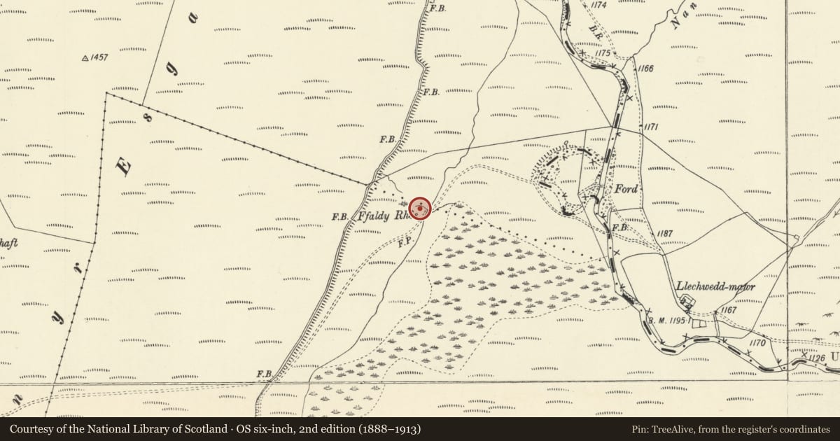 Ordnance Survey six-inch map, 2nd edition (1888–1913) covering the location of Nant y Baracs Deserted Rural Settlement, Blaenrheidol, Ceredigion, with a pin at the register's coordinates