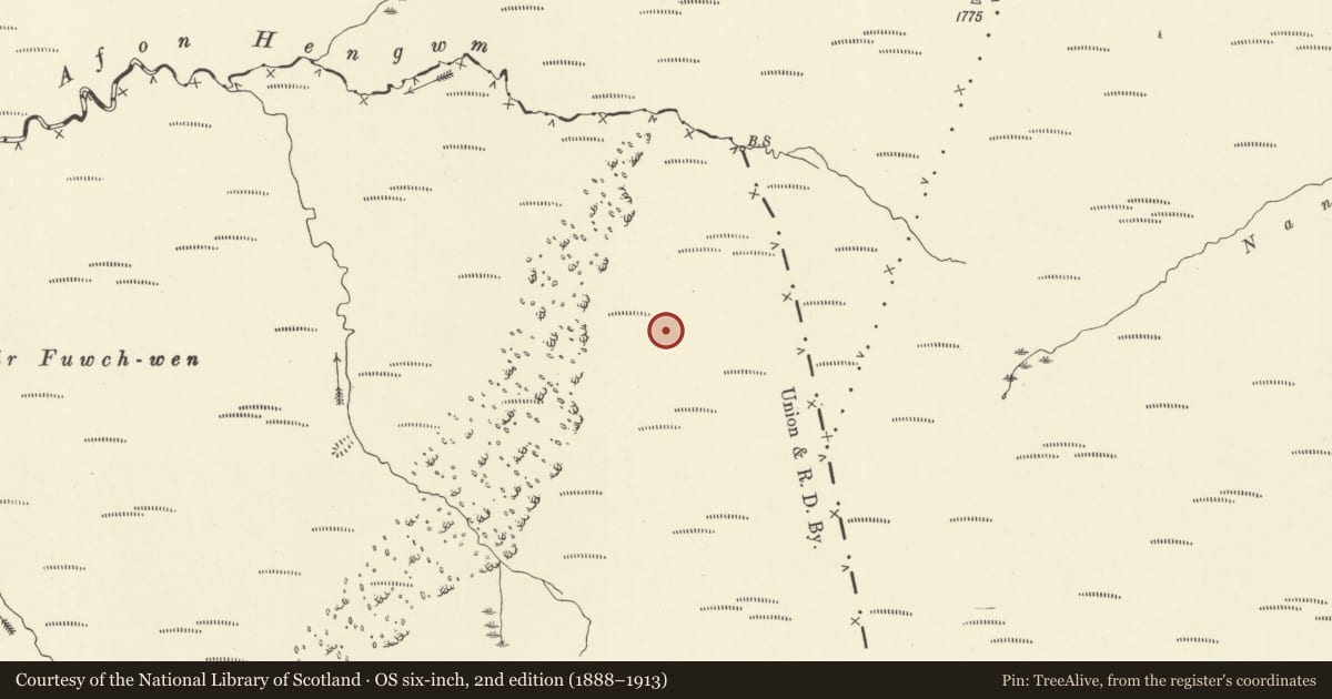 Ordnance Survey six-inch map, 2nd edition (1888–1913) covering the location of Hengwm Ring Cairns, Blaenrheidol, Ceredigion, with a pin at the register's coordinates
