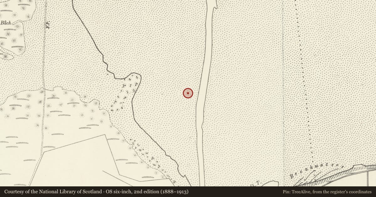 Ordnance Survey six-inch map, 2nd edition (1888–1913) covering the location of Hulks at Ynyslas, Ceredigion, Borth, Ceredigion, with a pin at the register's coordinates
