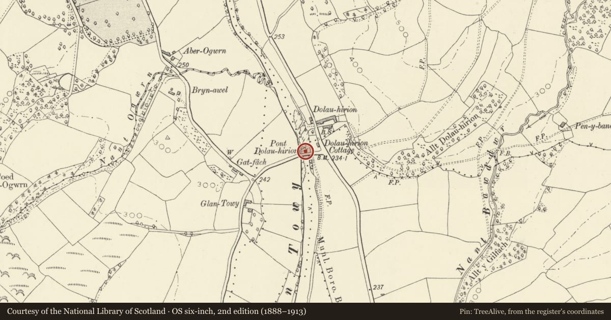 Ordnance Survey six-inch map, 2nd edition (1888–1913) covering the location of Dolau-Hirion Bridge, Cilycwm, Carmarthenshire, with a pin at the register's coordinates