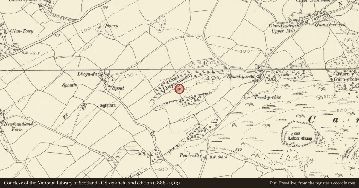 Ordnance Survey six-inch map, 2nd edition (1888–1913) covering the location of Llwyn Du Camp, Llangadog, Carmarthenshire, with a pin at the register's coordinates