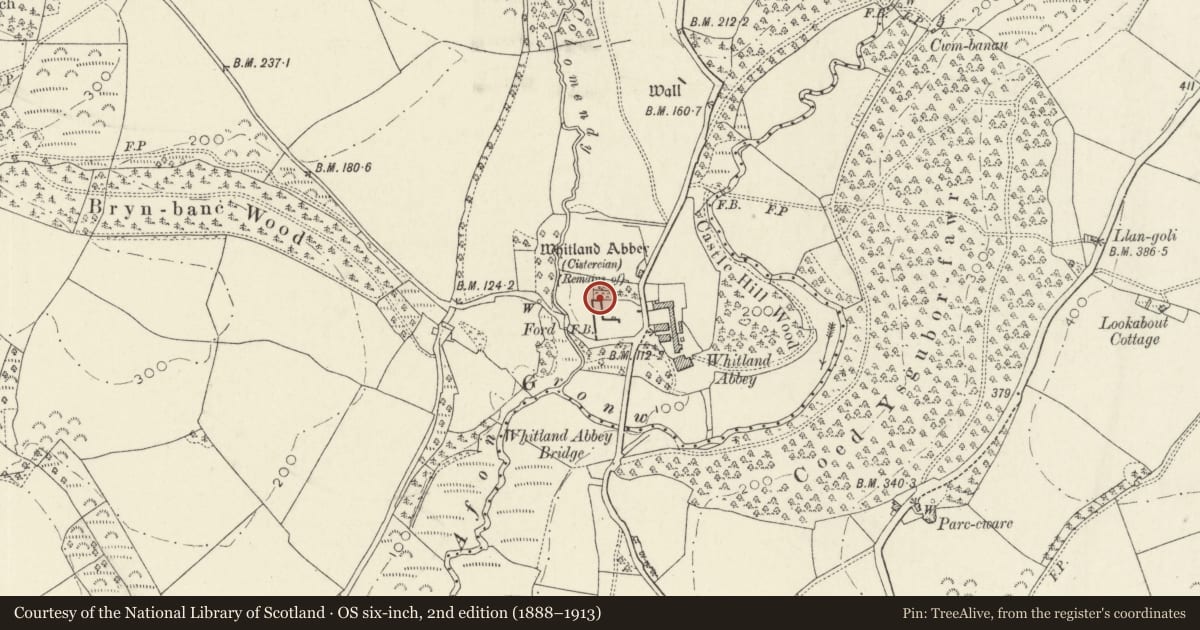 Ordnance Survey six-inch map, 2nd edition (1888–1913) covering the location of Whitland Abbey, Llanboidy, Carmarthenshire, with a pin at the register's coordinates