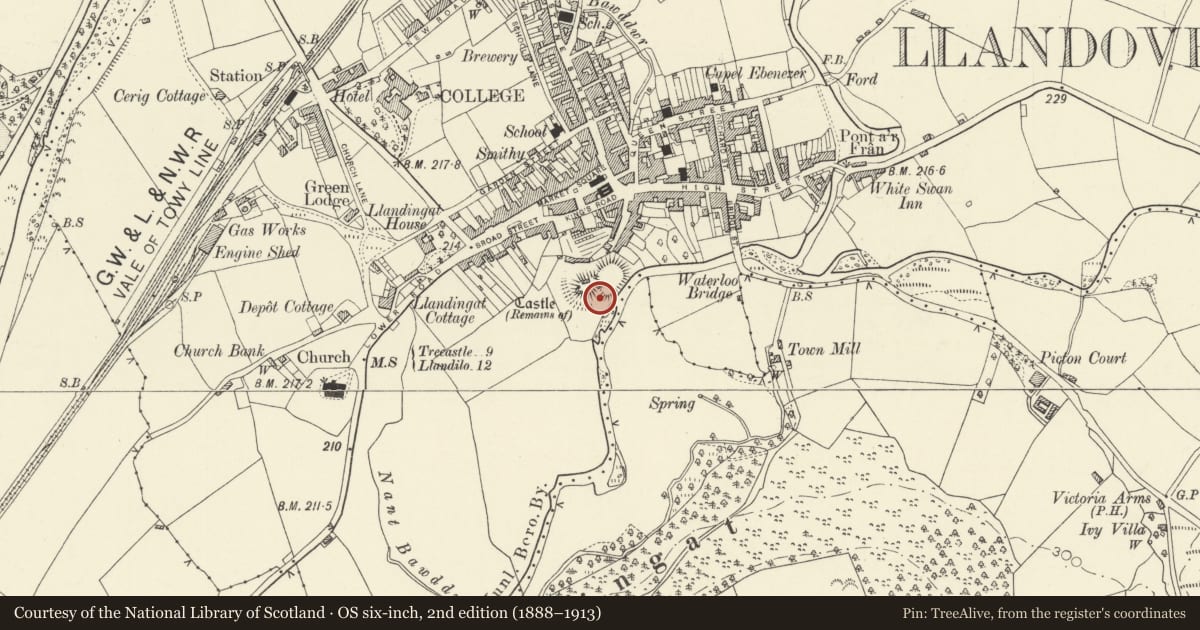 Ordnance Survey six-inch map, 2nd edition (1888–1913) covering the location of Llandovery Castle, Carmarthenshire, with a pin at the register's coordinates