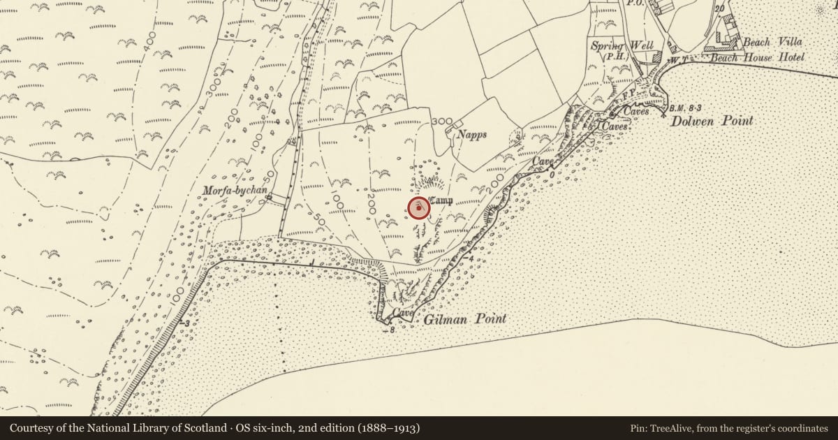 Ordnance Survey six-inch map, 2nd edition (1888–1913) covering the location of Napps Camp, Pendine, Carmarthenshire, with a pin at the register's coordinates