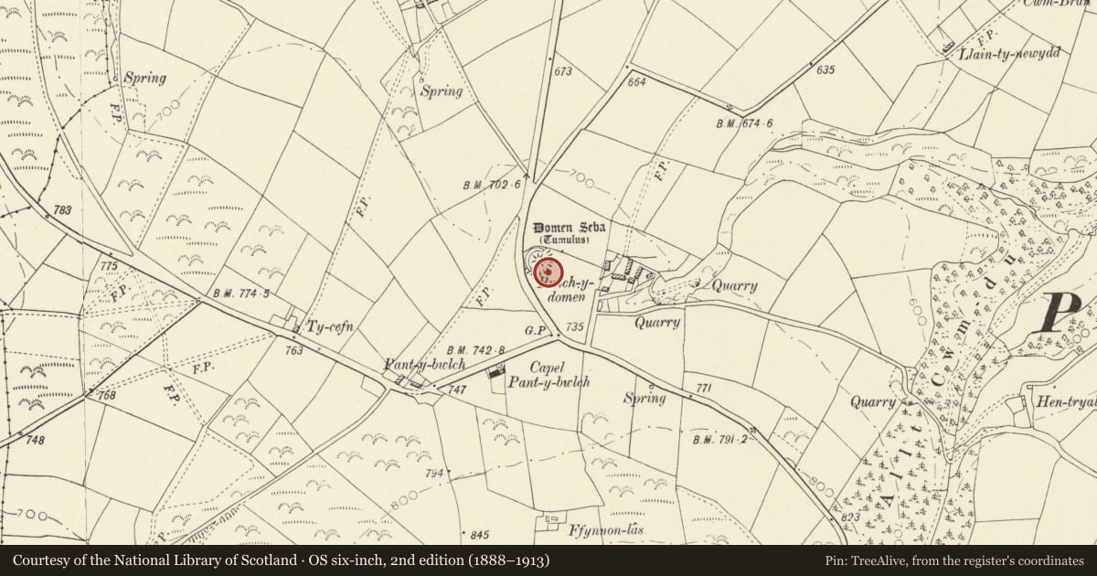 Ordnance Survey six-inch map, 2nd edition (1888–1913) covering the location of Domen Seba (or Y Tomen Fawr) Castle Mound, Llangeler, Carmarthenshire, with a pin at the register's coordinates