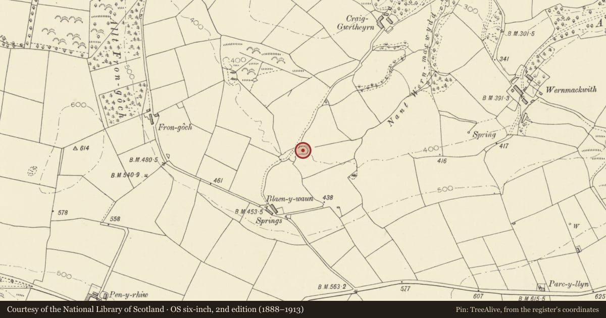 Ordnance Survey six-inch map, 2nd edition (1888–1913) covering the location of Castle Llwyn Bedw, Llanfihangel-ar-Arth, Carmarthenshire, with a pin at the register's coordinates