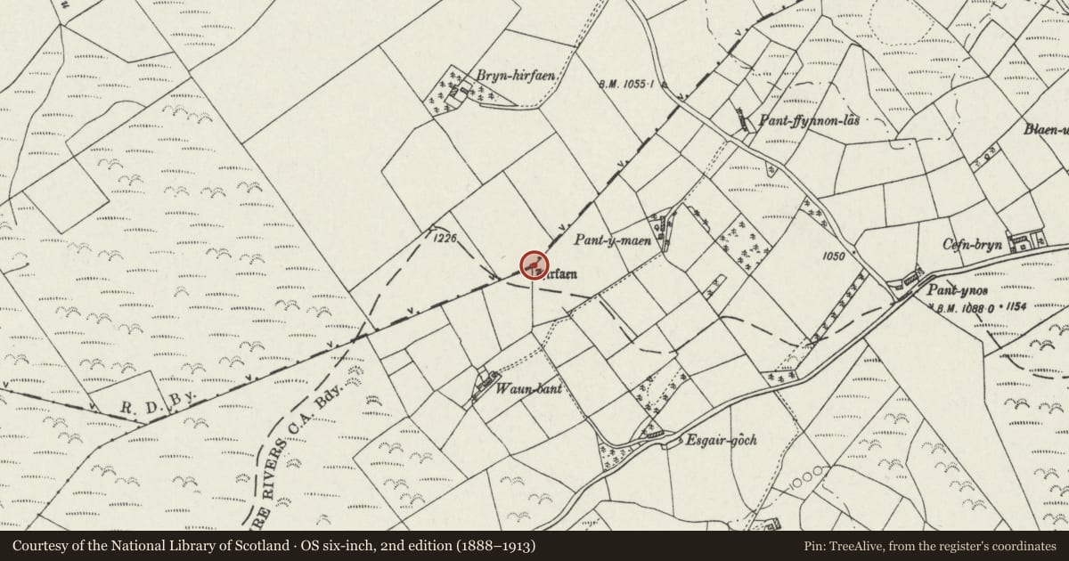 Ordnance Survey six-inch map, 2nd edition (1888–1913) covering the location of Hirfaen Standing Stone, Llanycrwys, Carmarthenshire, with a pin at the register's coordinates