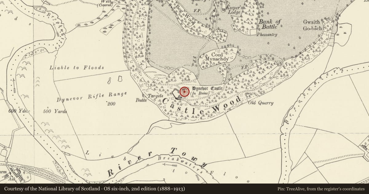 Ordnance Survey six-inch map, 2nd edition (1888–1913) covering the location of Castell Dinefwr, Llandeilo, Carmarthenshire, with a pin at the register's coordinates